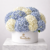 Azure Harmony